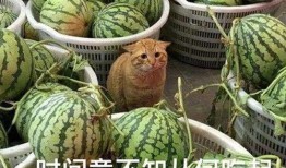 被网暴吃瓜,揭秘网络暴力的双重效应