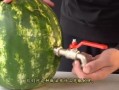 吃瓜网怎么安装,轻松上手，畅享娱乐资讯