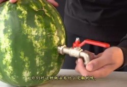 吃瓜网怎么安装,轻松上手，畅享娱乐资讯