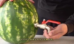吃瓜网怎么安装,轻松上手，畅享娱乐资讯