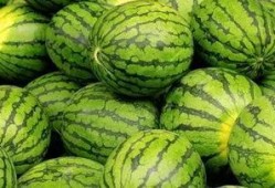吃瓜网每日大赛最新入口,揭秘最新入口，精彩赛事不容错过！