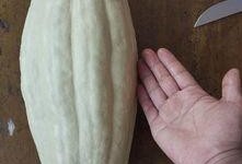 吃瓜网有毒么,真相与风险并存
