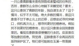 明星网红吃瓜qq群,揭秘娱乐圈幕后风云