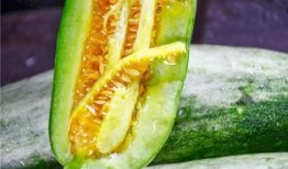 有哪些网红有瓜吃,盘点那些“有瓜吃”的明星网红