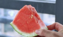 合肥网课吃瓜,一场“吃瓜”背后的教育现象探讨