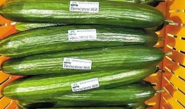 吃瓜网每日大赛最新入口,揭秘最新入口，精彩赛事不容错过！
