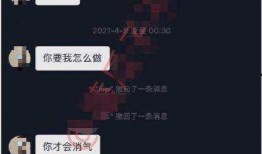 网红吃瓜聊天记录,娱乐圈幕后真相大曝光