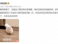 剑网三吃瓜脸,吃瓜脸事件，揭秘游戏圈幕后风云