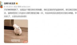剑网三吃瓜脸,吃瓜脸事件，揭秘游戏圈幕后风云