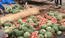 陇南网红吃瓜满床跑,揭秘网络红人的日常生活