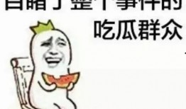 开头说吃瓜群众的网红,揭秘网络红人的崛起与魅力