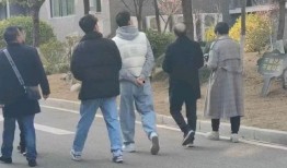 文安网红吃瓜事件,揭秘网络舆论背后的真相