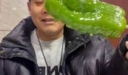 网红王璐茜吃瓜合集,吃瓜合集，揭秘娱乐圈幕后故事