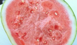 合肥网课吃瓜,一场“吃瓜”背后的教育现象探讨
