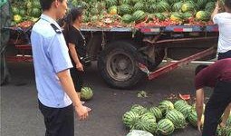 陇南网红吃瓜满床跑,揭秘网络红人的日常生活